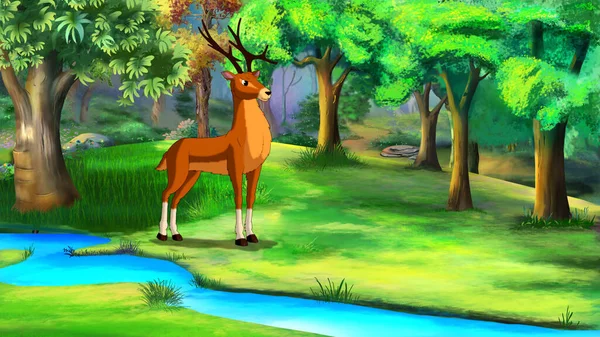 Deer Forest Stream Sunny Summer Day Digital Painting Background Illustration — Photo