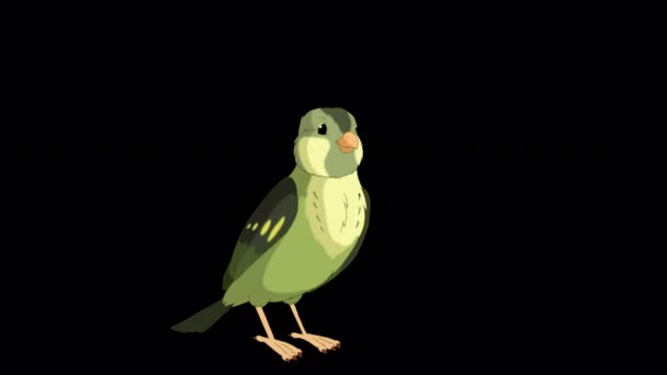 Singing Green Forest Bird Handmade Animated Looped Footage Isolated Alpha — Stockvideo