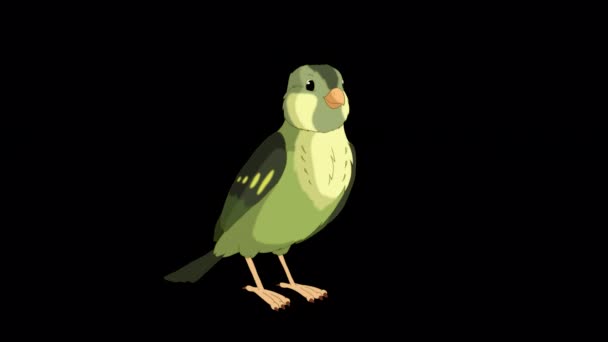 Green Forest Bird Say Hello Handmade Animated Looped Footage Isolated — Stockvideo