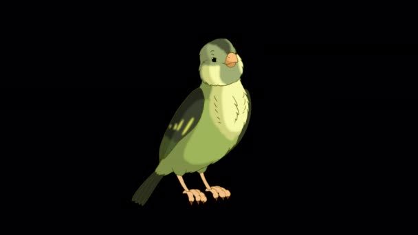 Green Forest Bird Singing Handmade Animated Looped Footage Isolated Alpha — Stockvideo