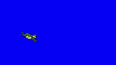 Little green frog jumping long view. Handmade animated looped 4K footage isolated on blue screen. 