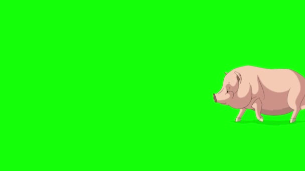 Pink Pig Running Handmade Animated Looped Footage Isolated Green Screen — Wideo stockowe