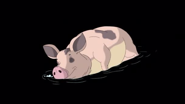 Pink Pig Sleeping Puddle Handmade Animated Looped Footage Isolated Alpha — Wideo stockowe