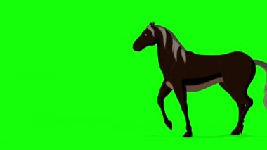 Black Horse walks back and forth full shot. Handmade animated HD footage isolated on green screen