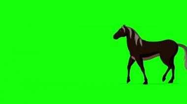 Black Horse walks back and forth long shot. Handmade animated HD footage isolated on green screen