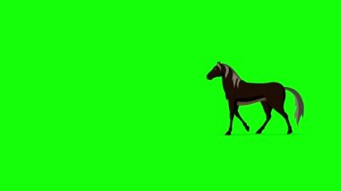 Black Horse walks back and forth extreme long shot. Handmade animated HD footage isolated on green screen