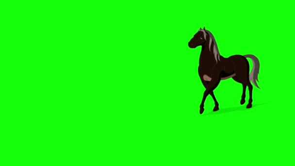 Black Horse Walks Back Forth Handmade Animated Footage Isolated Green — Vídeo de stock