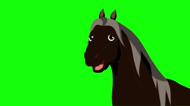 Talking Black Horse Handmade Animated Footage Isolated Green Screen — Vídeo de Stock