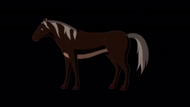 Svarta Hästen Betar Handgjorda Animerade Bilder Isolerade Alfakanalen — Stockvideo