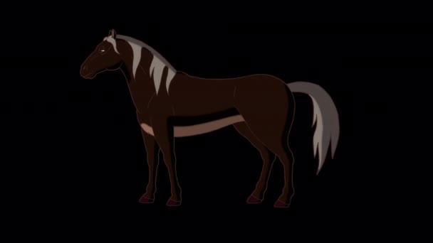 Schwarzes Pferd Weidet Handgemachtes Animiertes Material Isoliert Auf Alpha Kanal — Stockvideo