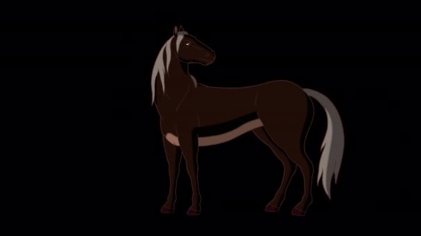 Black Horse Walks Stop Full Shot Handmade Animated Footage Isolated — Stock Video