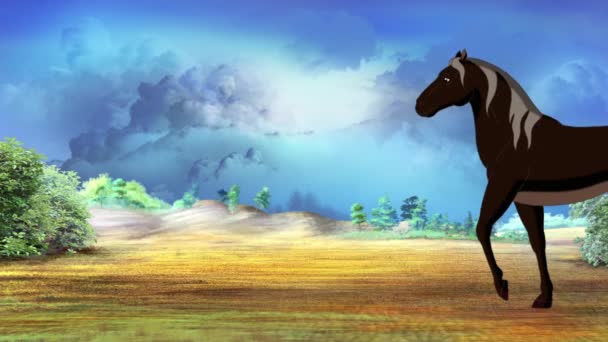 Cavallo Nero Selvaggio Cammina Sulla Prateria Una Giornata Sole Video — Video Stock