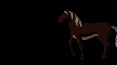 Siyah At ileri geri yürür. El yapımı animasyon 4K görüntüleri alfa kanalında izole edildi