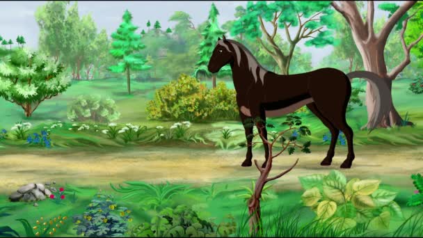 Black Horse Går Park Solig Dag Handgjorda Animerade Filmer Rörlig — Stockvideo