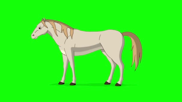 Άσπρο Άλογο Βόσκει Χειροποίητο Κινούμενο Βίντεο Που Απομονώνεται Στην Πράσινη — Αρχείο Βίντεο