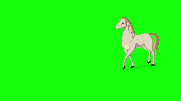 Cavallo Bianco Cammina Avanti Indietro Filmati Animati Fatti Mano Isolati — Video Stock