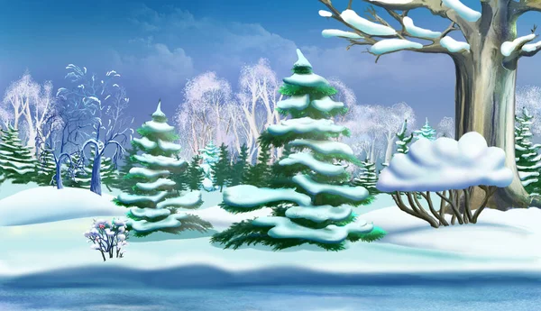 Χριστουγεννιάτικα Δέντρα Στο Χειμερινό Δάσος Την Ημέρα Ψηφιακή Ζωγραφική Ιστορικό — Φωτογραφία Αρχείου