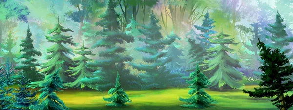 阳光灿烂的日子里 松林中的冷杉树 数码绘画背景 — 图库照片