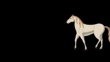 Beyaz At bir ileri bir geri yürür. Alfa kanalında el yapımı HD görüntüler izole edildi