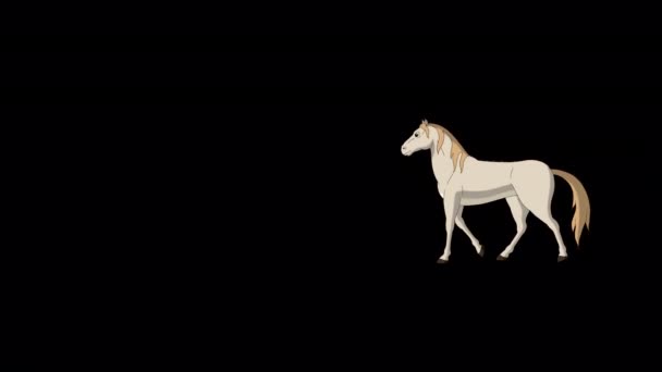 Bílý Kůň Chodí Sem Tam Ručně Animované Záběry Izolované Alfa — Stock video