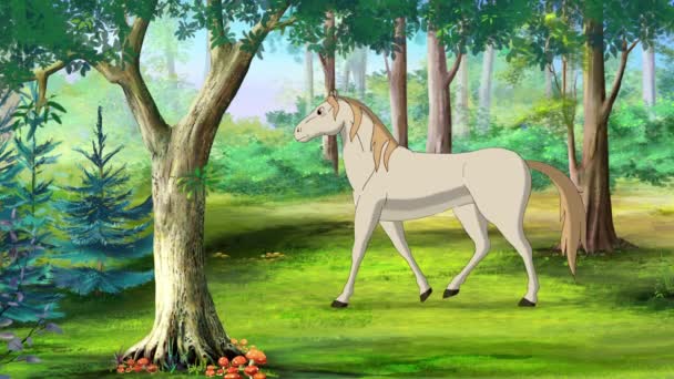 Bílý Kůň Kráčí Lese Slunečného Dne Ruční Animované Záběry Pohybová — Stock video