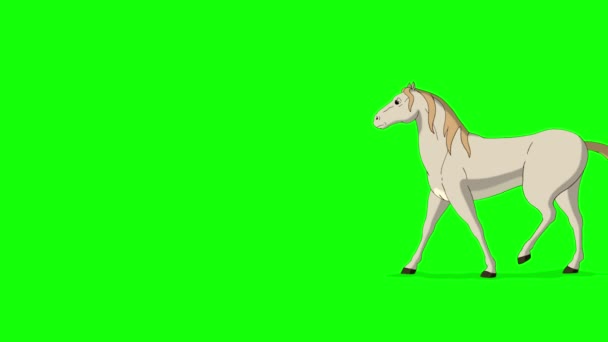 Biały Koń Idzie Piechotę Ręcznie Robiony Animowany Materiał Izolowany Zielonym — Wideo stockowe