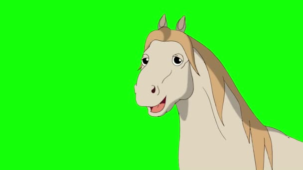 Cavallo Bianco Parlante Filmati Animati Fatti Mano Isolati Schermo Verde — Video Stock
