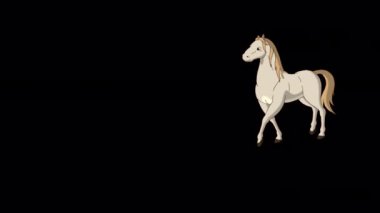 Beyaz At ileri geri yürür. El yapımı animasyon 4K görüntüleri alfa kanalında izole edildi