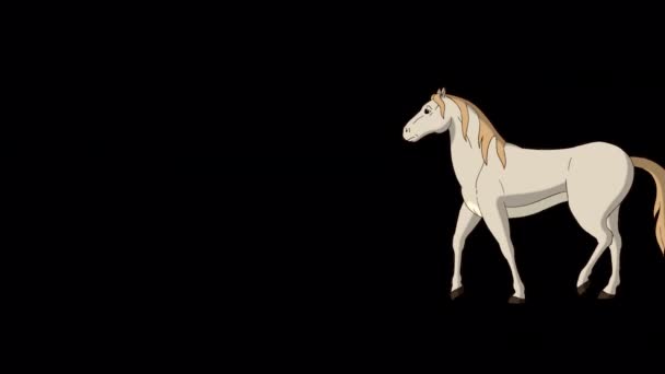 White Horse Fait Des Allers Retours Vidéo Animée Main Isolée — Video