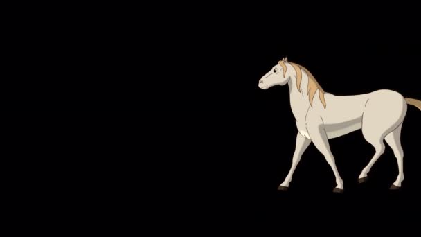 White Horse Marche Avec Stop Extrême Long Shot Vidéo Animée — Video