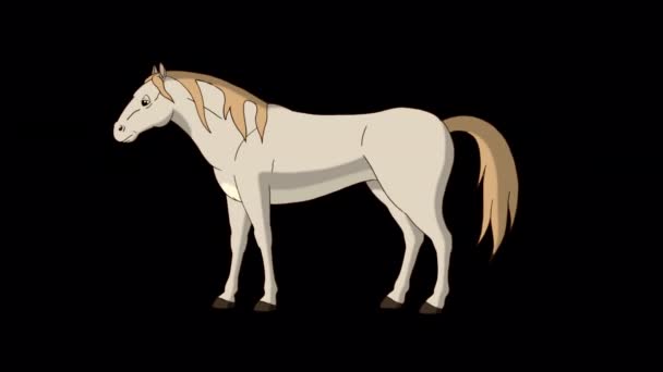 白马在吃草 阿尔法通道上隔离的手工制作的动画4K镜头 — 图库视频影像
