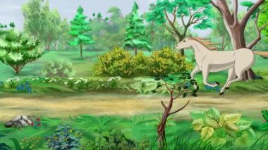 Vahşi beyaz at güneşli bir günde ormanda dört nala koşuyor. El yapımı animasyon 4K görüntü, hareket grafikleri