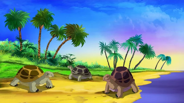 Large Turtles Sandy Tropical Shore Digital Painting Background Illustration — Stock Photo, Image