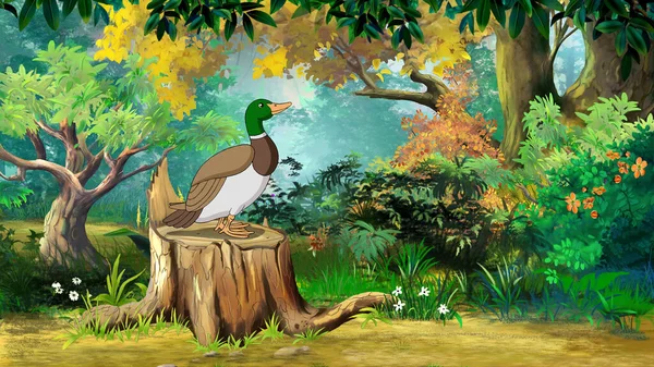 Divoká Kachna Lese Slunečného Podzimního Dne Digitální Malba Pozadí Ilustrace — Stock fotografie