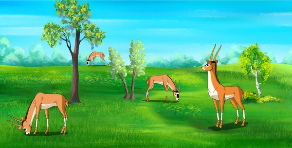 晴れた日には芝生の上でカモシカが放牧される デジタル絵画の背景 イラスト — ストック写真