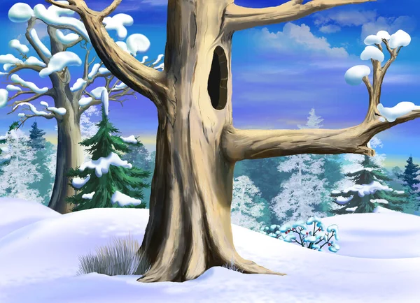Δέντρο Ένα Κούφιο Στο Δάσος Μια Χειμωνιάτικη Μέρα Ψηφιακή Ζωγραφική — Φωτογραφία Αρχείου