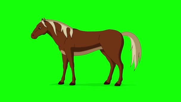 Den Bruna Hästen Betar Handgjorda Animerade Bilder Isolerade Grön Skärm — Stockvideo