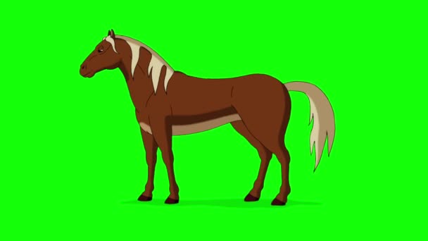 Brązowy Koń Się Wypasa Ręcznie Robione Animowane Filmy Izolowane Zielonym — Wideo stockowe