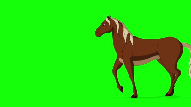 Brown Horse Fait Des Allers Retours Vidéo Animée Main Isolée — Video