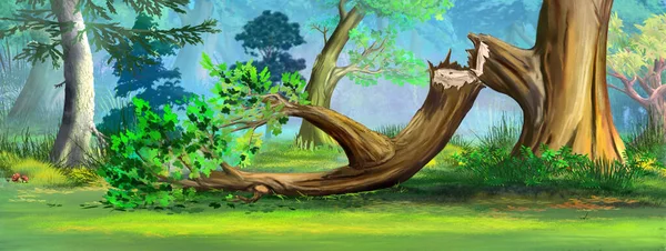 Сломанная Большая Ветка Дерева Лесу Солнечный День Цифровая Живопись Фон — стоковое фото