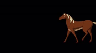 Kahverengi At uzun mesafe koşuyor. Alfa kanalında el yapımı HD görüntüler izole edildi