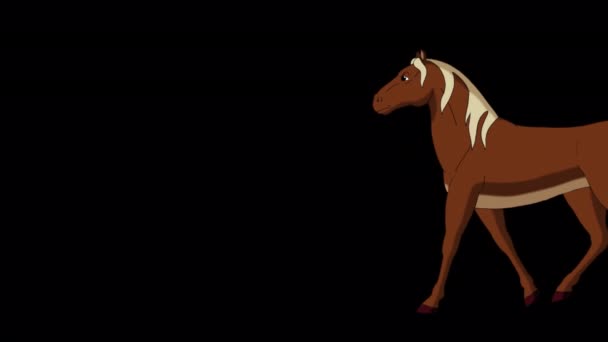 Brown Horse Cammina Con Colpo Secco Filmati Animati Fatti Mano — Video Stock