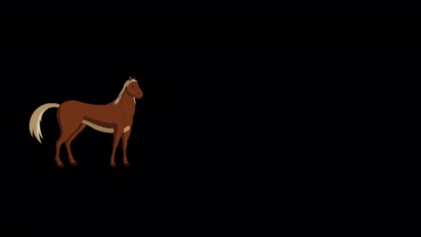 Brown Horse Marche Avec Stop Extrême Long Shot Vidéo Animée — Video