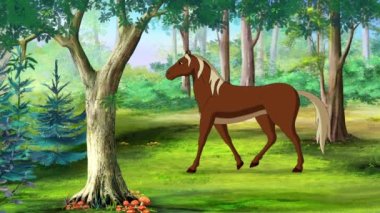 Kahverengi At güneşli bir günde ormanda yürüyor. El yapımı HD görüntüler, hareket grafikleri