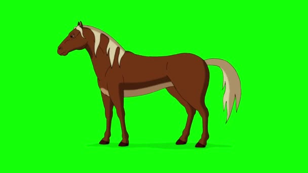 棕色的马在吃草 在绿色屏幕上隔离手工制作的4K动画画面 — 图库视频影像