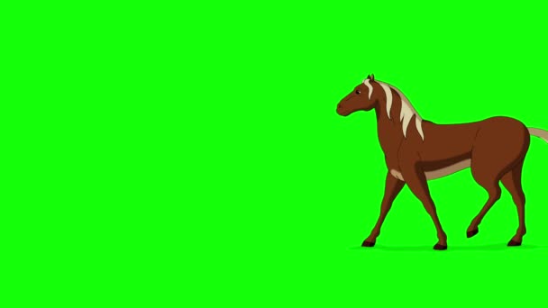 Brown Horse Geht Mit Einem Stop Weitschuss Handgemachtes Animiertes Material — Stockvideo