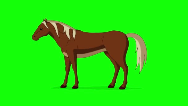 Den Bruna Hästen Betar Handgjorda Animerade Filmer Isolerade Grön Skärm — Stockvideo