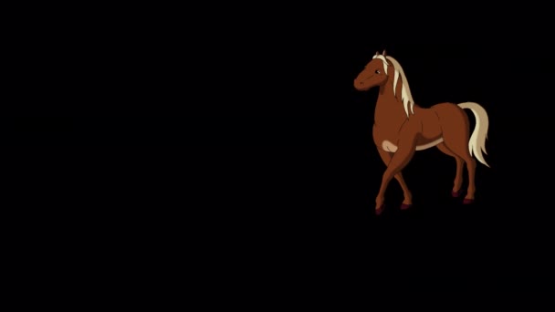 Brown Horse Walks Back Forth Handmade Animated Footage Isolated Alpha — Stock Video