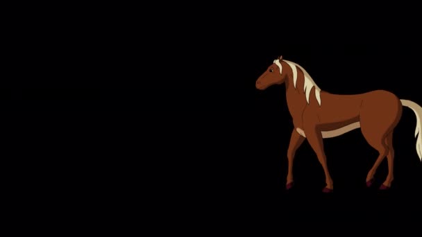 ブラウンホースの前後に長いショットを歩く アルファチャンネルで隔離された手作りのアニメーション4K映像 — ストック動画