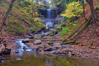 Tinker Falls, Labrador Hollow Eşsiz Bölgesi, Tully, New York
